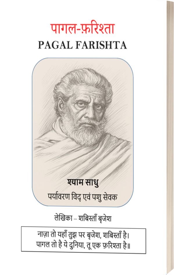 Pagal Farishta Book Cover